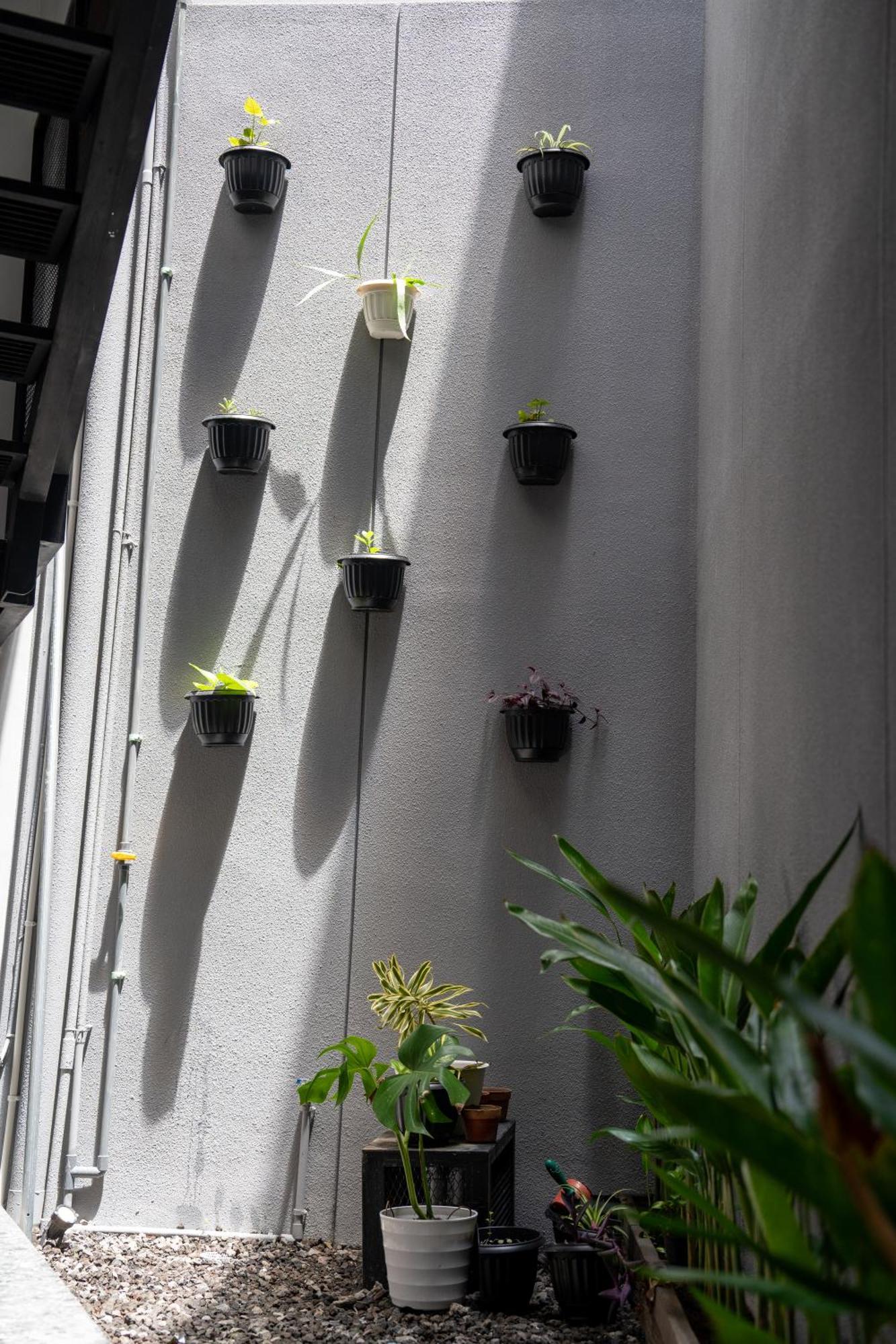 The Kamala Guest House 캉구 외부 사진